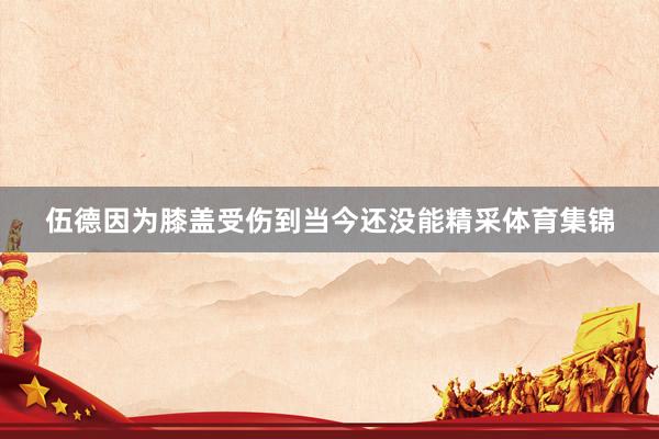 伍德因为膝盖受伤到当今还没能精采体育集锦
