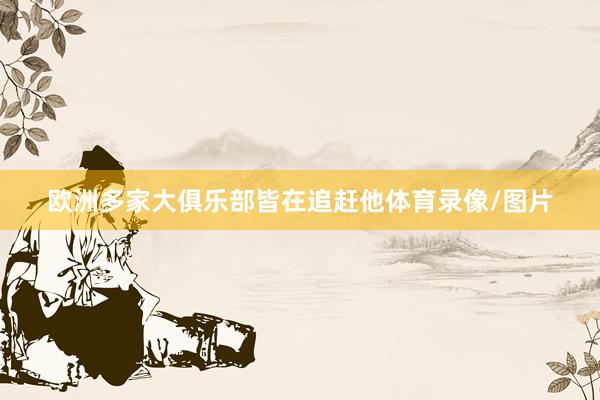欧洲多家大俱乐部皆在追赶他体育录像/图片