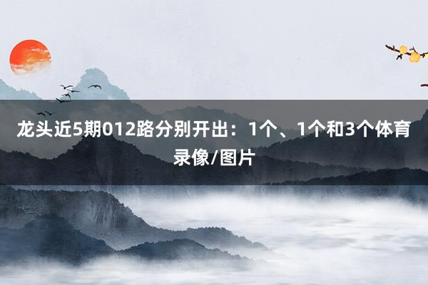 龙头近5期012路分别开出：1个、1个和3个体育录像/图片