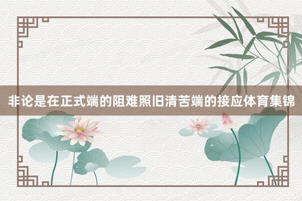 非论是在正式端的阻难照旧清苦端的接应体育集锦