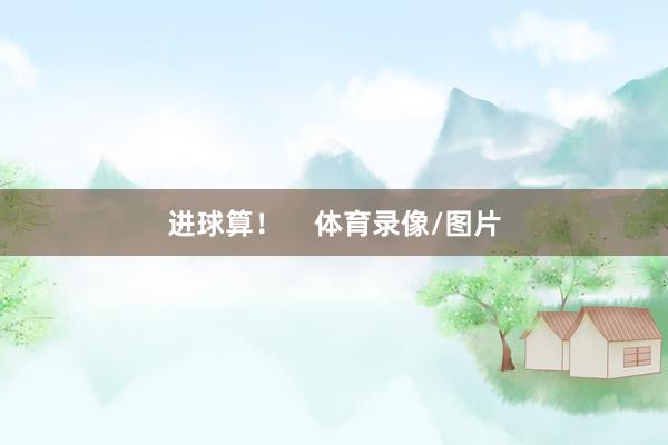 进球算！    体育录像/图片